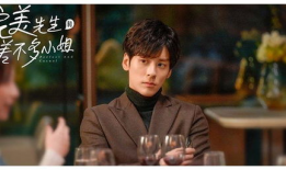 霸总电视剧,从商界精英到爱情赢家