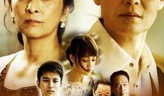 婆媳 电视剧,家庭和谐的密码解码